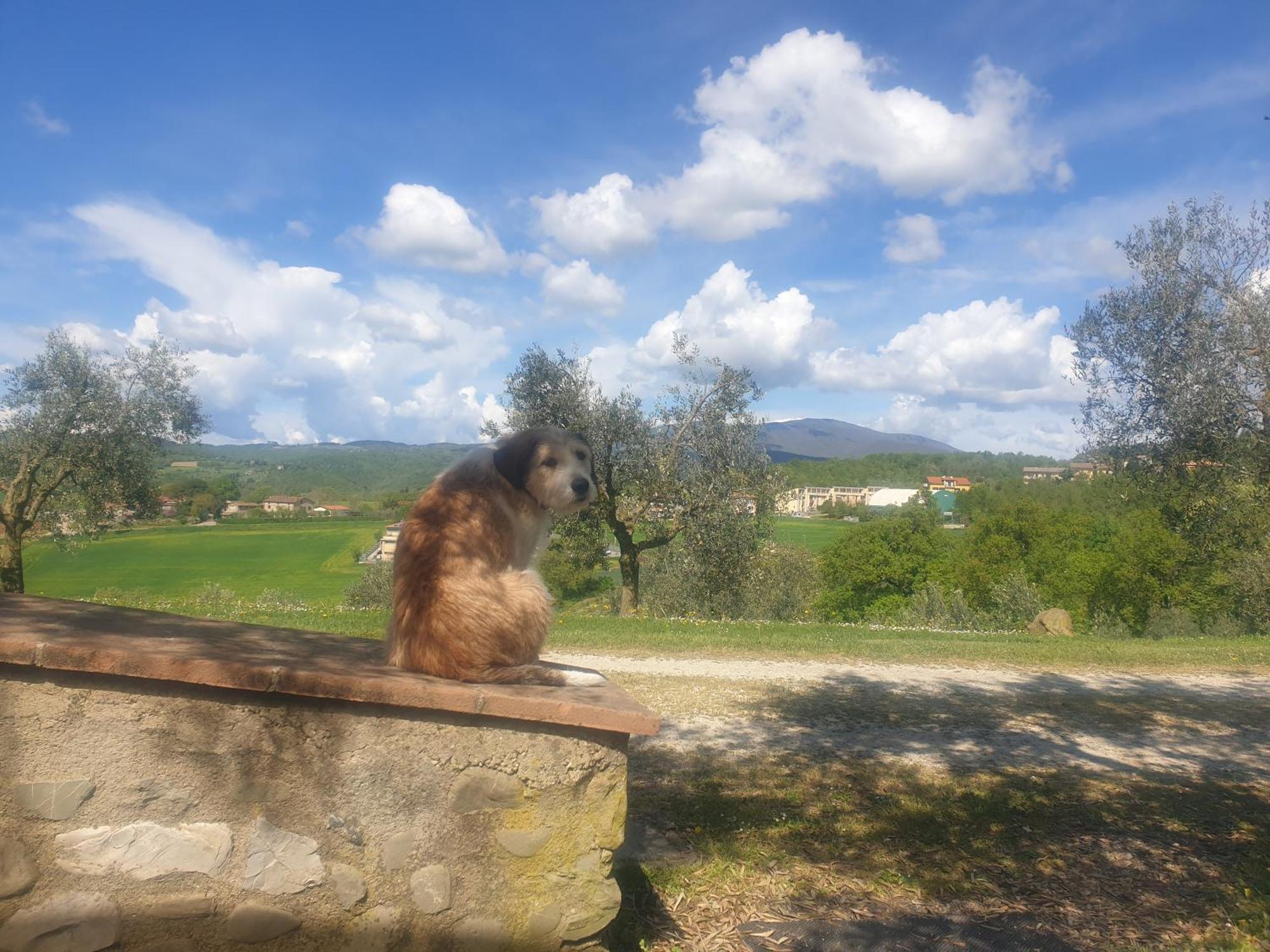Val Della Pieve *