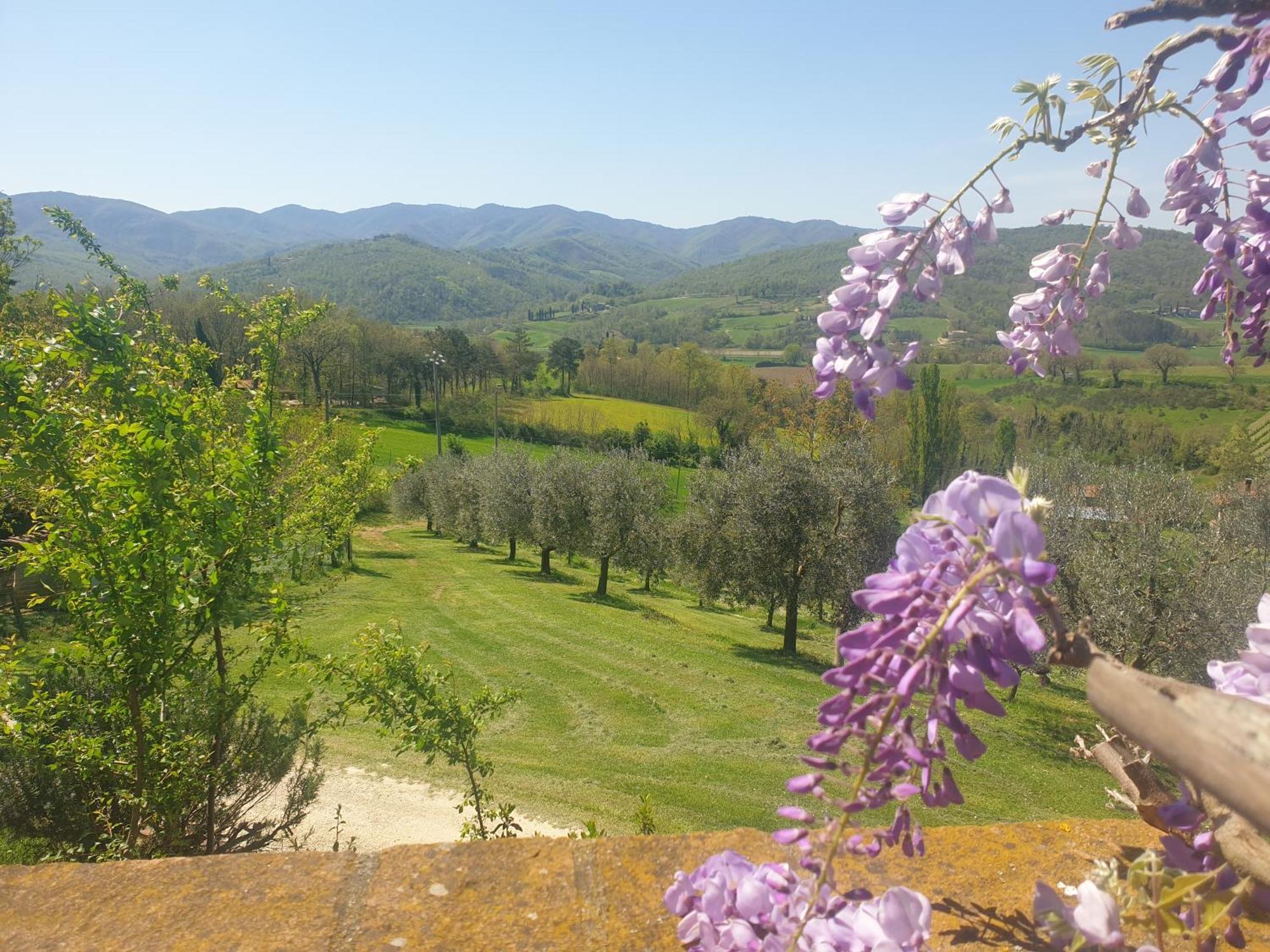Val Della Pieve