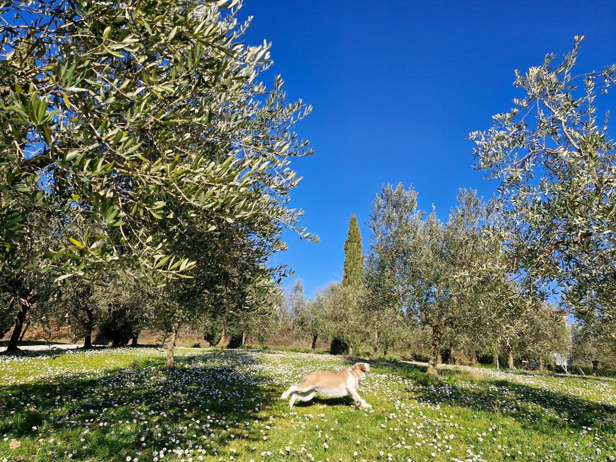 Val Della Pieve *