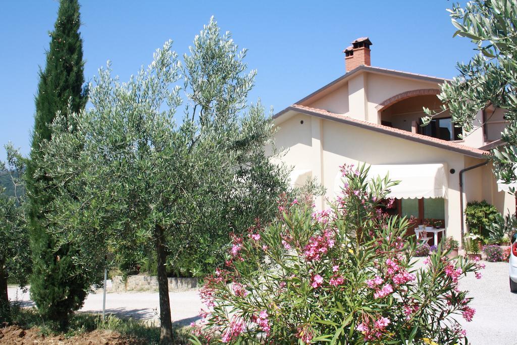 Agroturismo Agriturismo Val Della Pieve Anghiari