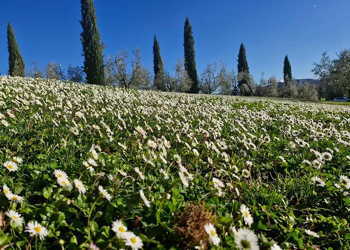 Agriturismo Val Della Pieve