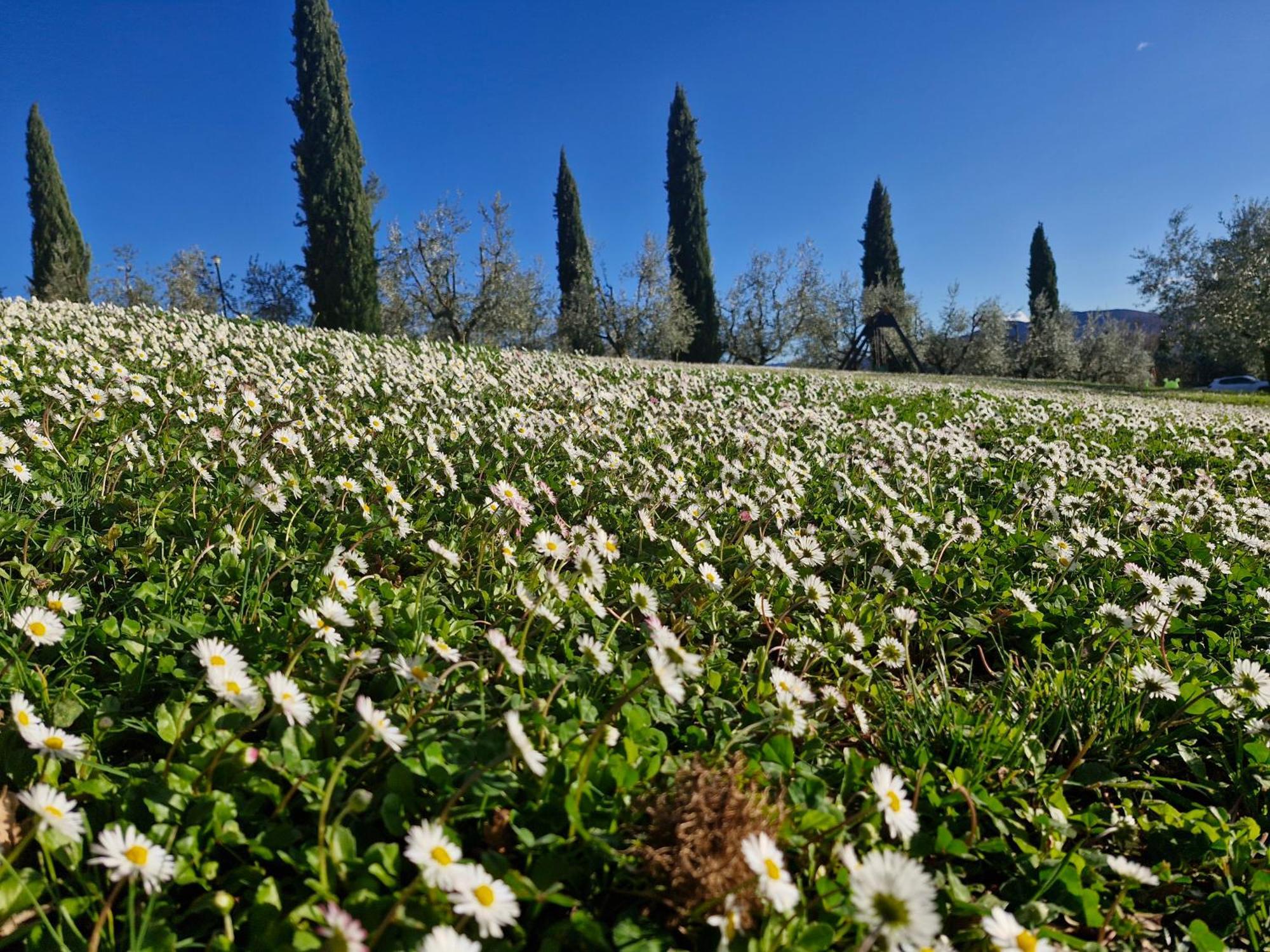 Val Della Pieve *