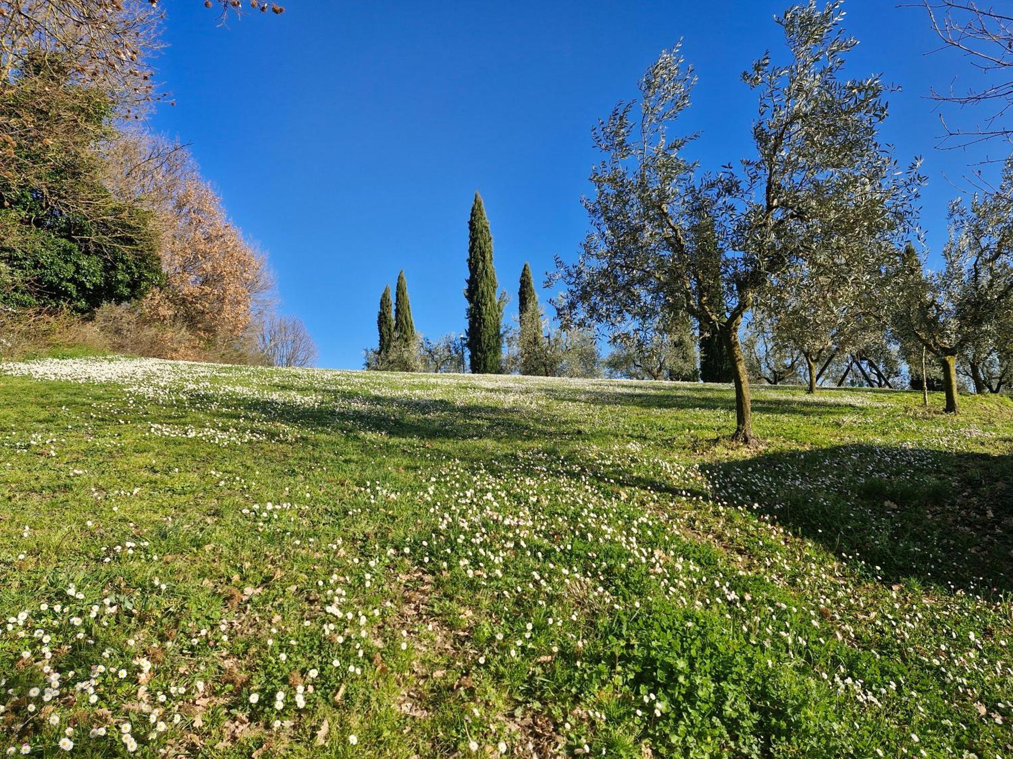 Val Della Pieve